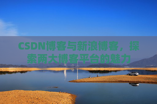 CSDN博客与新浪博客，探索两大博客平台的魅力